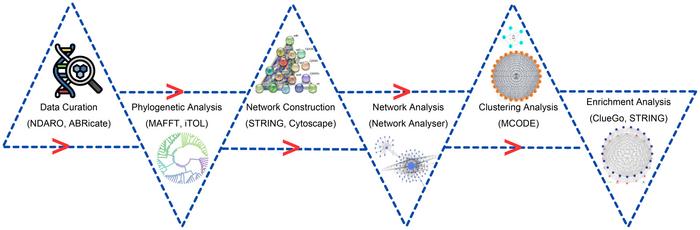 Decoding the Complex Genetic Network of Antimicrobial Resistance in Campylobacter jejuni Using Advanced Gene Network Analysis