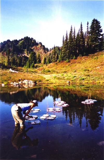 Wendy Palen, University of Washington
