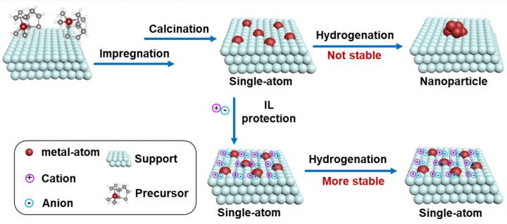 Schematic Illustration