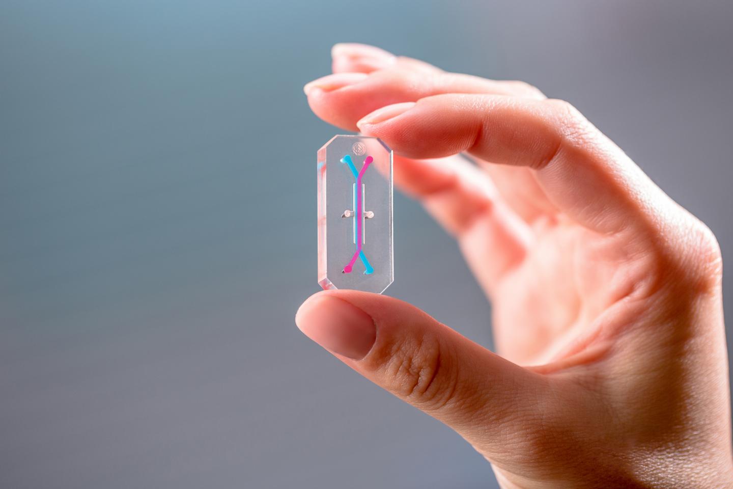 Microengineered Organ-Chip