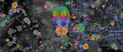 Spontaneous Assembly