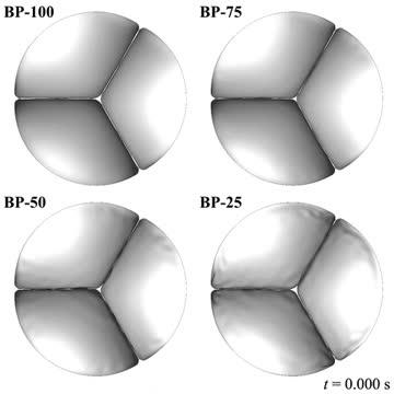 Modeling Replacement Heart Valves