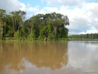 Juruá, Amazon River