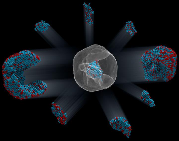 Nanoparticle