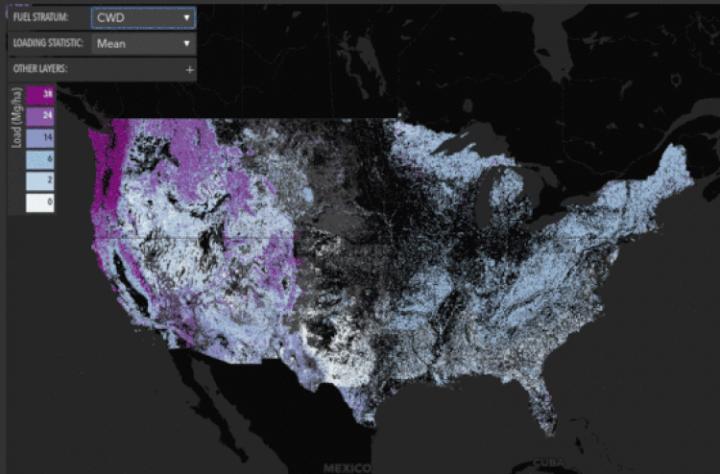 Vegetation Map Animation