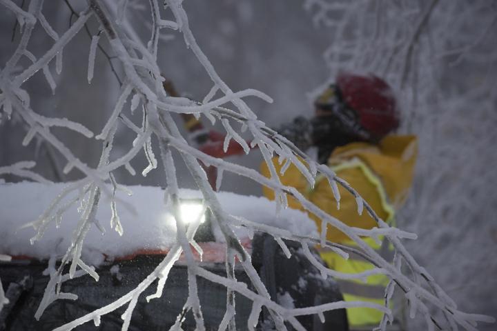 Ice Storm Research on Hubbard Brook Experimental Forest