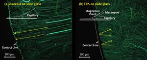 Tracking the movements of Butanol and Isopropyl alcohol (IPA) on a slide glass