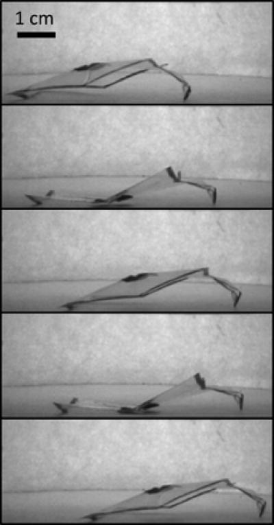 Autonomous Reconfiguration of Origami Powered By The Environment Leads to Crawling Locomotion