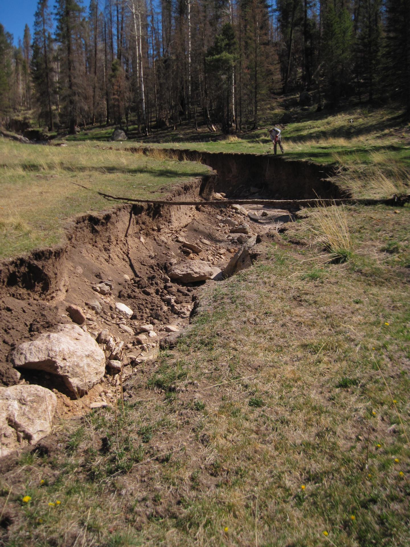 Post-Fire Erosion Created Ravine