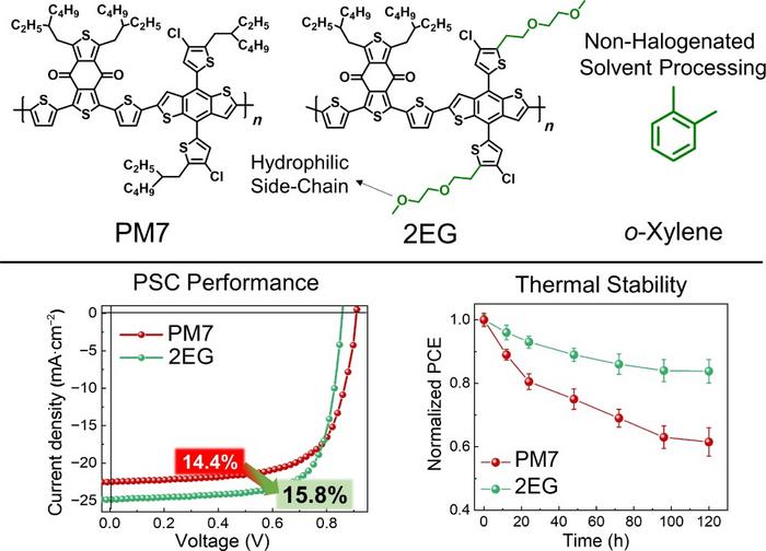 Graphic demonstrating the overall performance of a polymer solar cell (PSC) and thermal stability of a molecule with hydrophilic side-chains in polymer solar cells