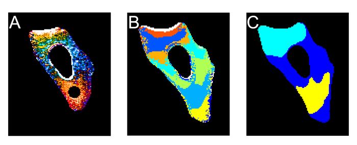 Diffusion Coefficient Mapping in the Cell