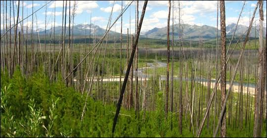 Glacier National Park