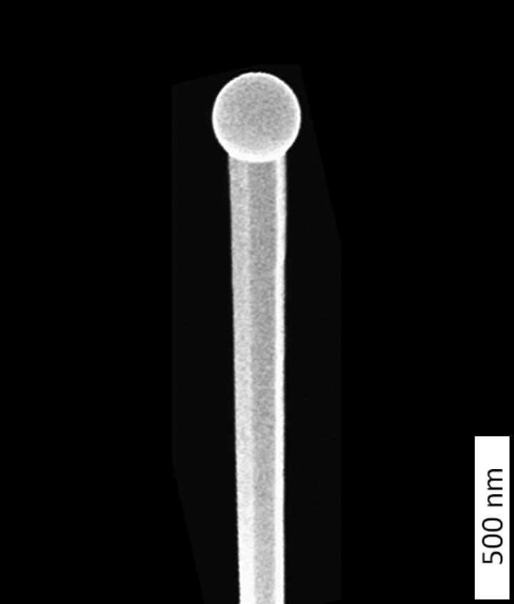 Scientists Observe Nanowires as They Grow