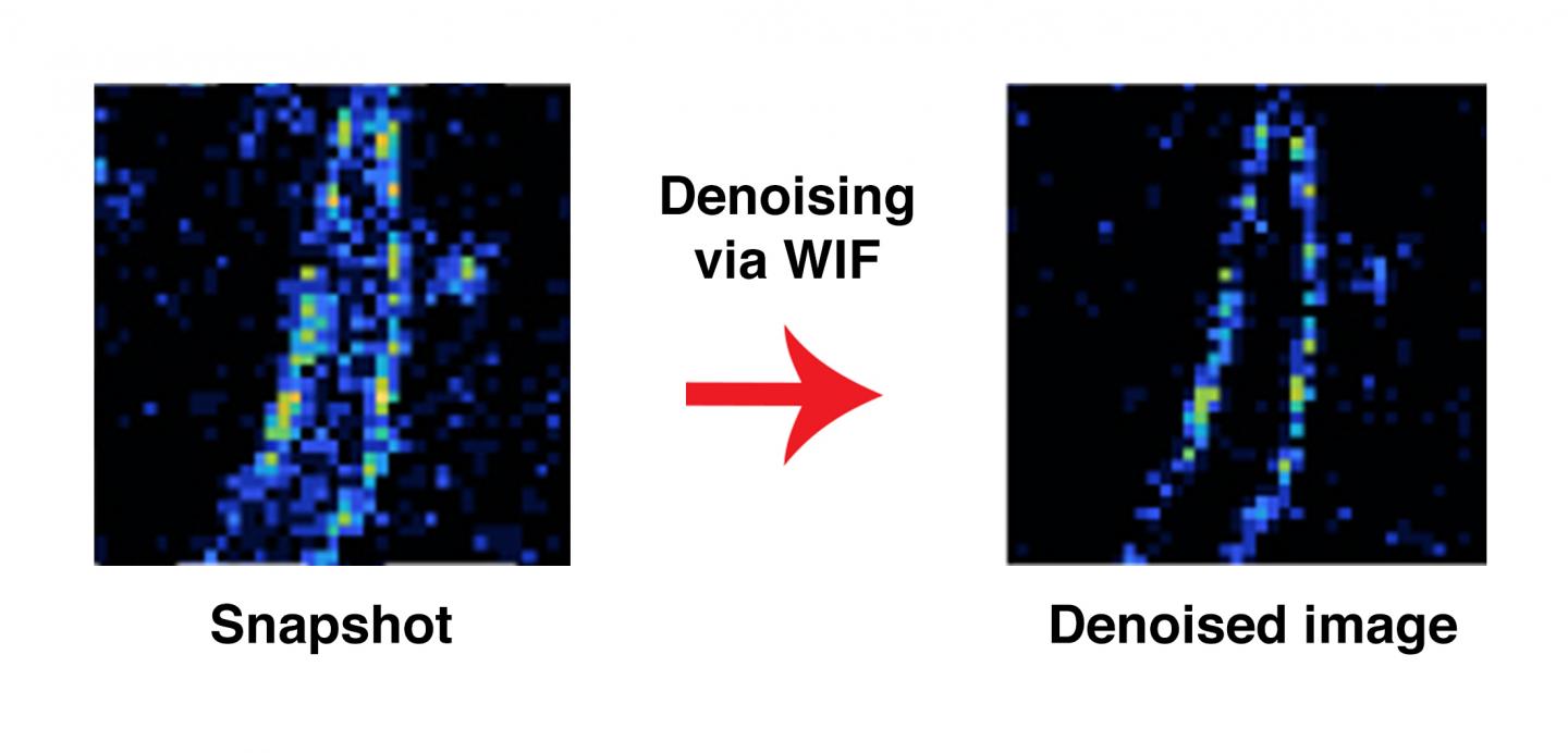 Denoised amyloid fibril