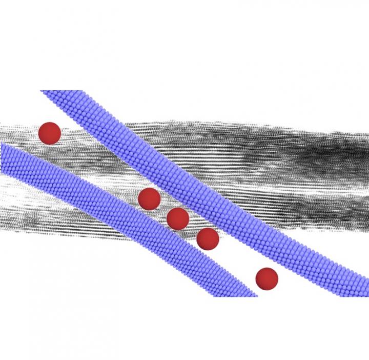 Zipper-like Assembly of Nanoparticles
