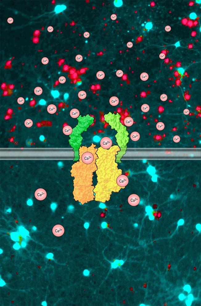 Cleaning up? Not Without Helpers