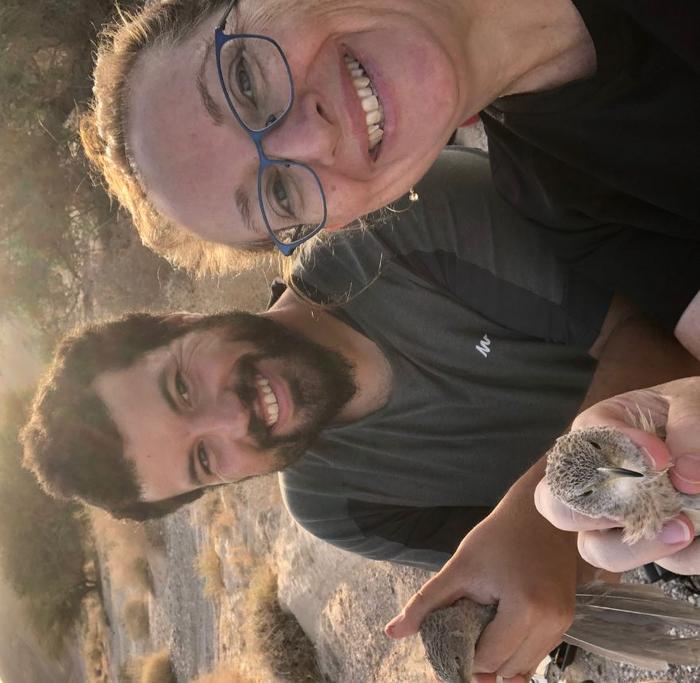 Studying the Arabian babblers in the Arava desert