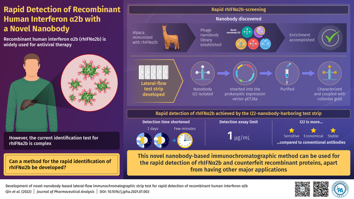 Development of novel-nanobody-based lateral-flow Immunochromatographic strip test for rapid detection of recombinant human interferon α2b