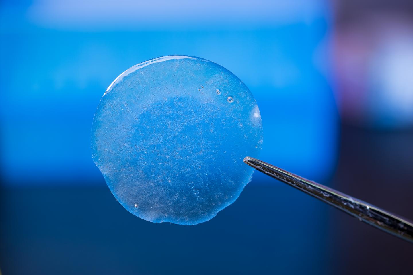 Flexible Polymer Film [IMAGE] EurekAlert! Science News Releases