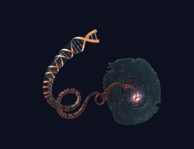 Galaxy DNA-Analysis Software is Now Available  