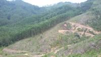 Forests cleared for agriculture on Vietnam mountain