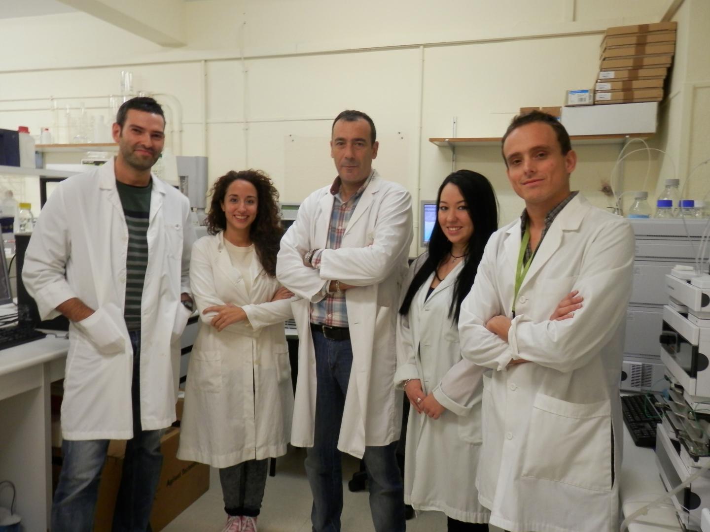 Research Team at the University of Granada