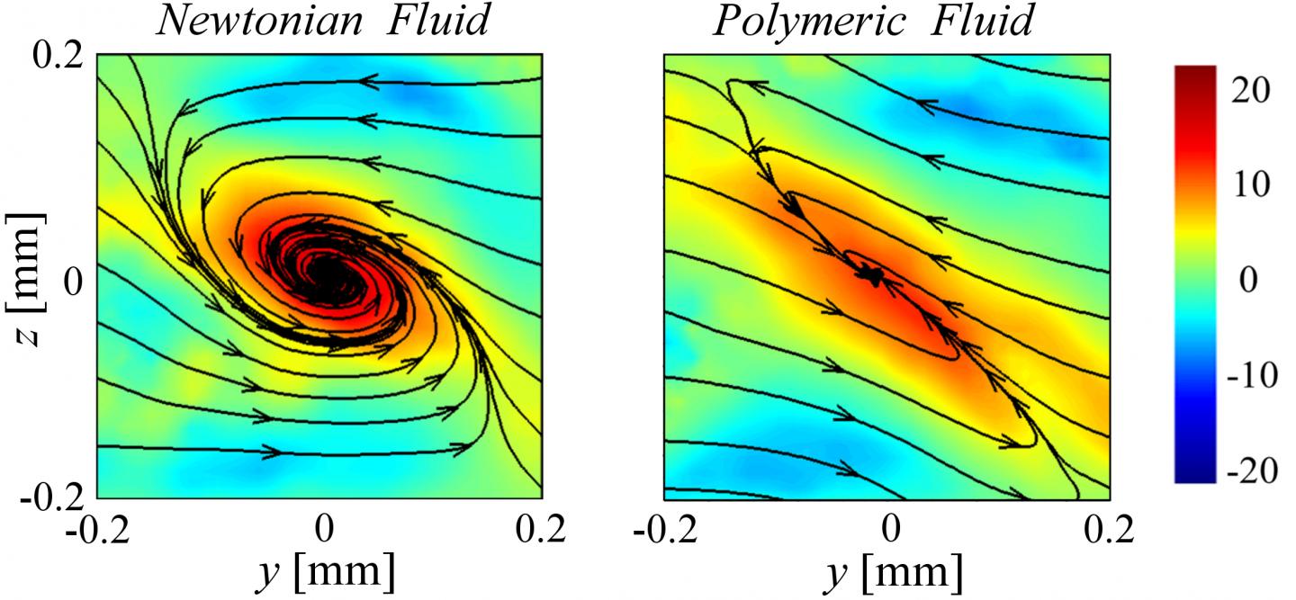 Vortices [IMAGE] EurekAlert! Science News Releases