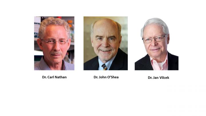 2016 Milstein Award Recipients