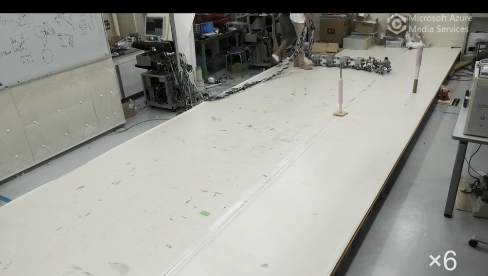 Ciempiés robot van a dar un paseo