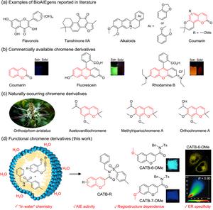 BioAIEgens reported in literature and chromene derivatives.