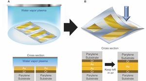 Schematic illustration of direct gold bonding on flexible substrates