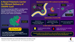 Fifth generation polyrotaxane (PRX) carriers can effectively deliver CRISPR-Cas9 ribonucleoproteins (RNPs)