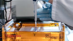 Mini-livers on a chip - EurekAlert