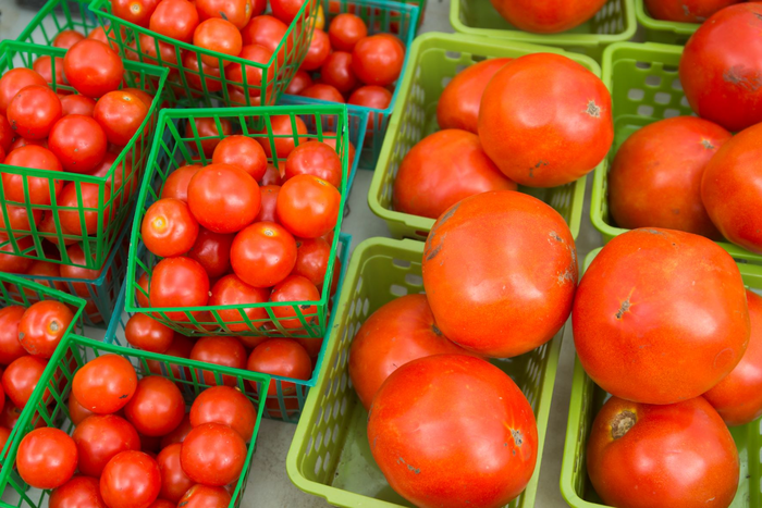 Crates of tomatoes
