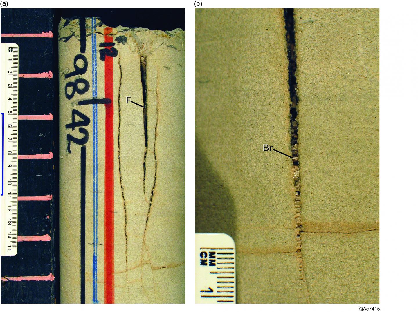 Fractures in East Texas Rock Cores