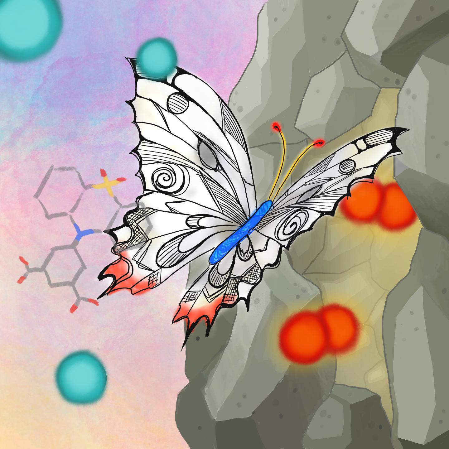 Butterfly-shaped Ligands