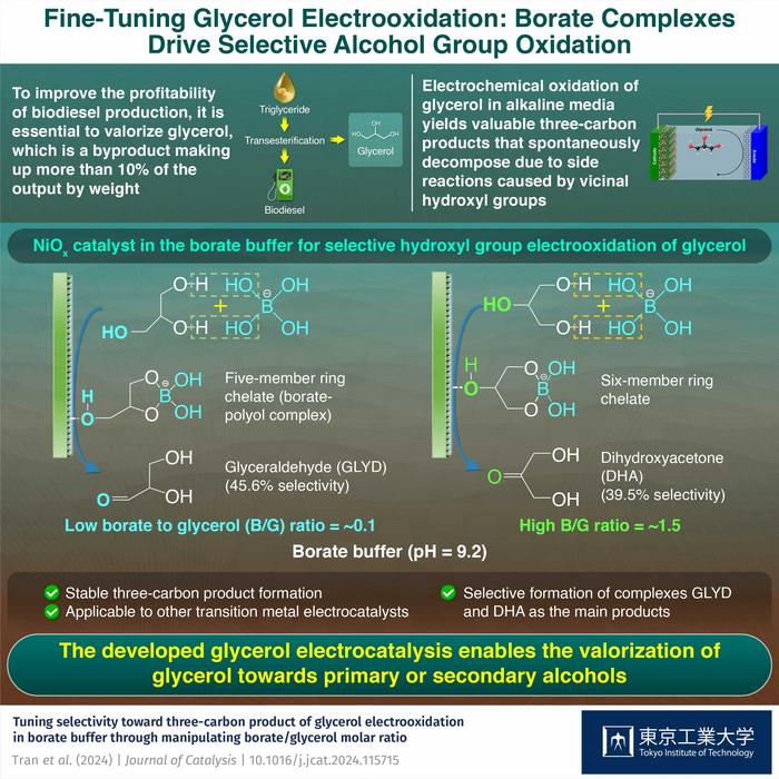 Fine-Tuning Glycerol Electrooxidation: Borate Complexes  Drive Selective Alcohol Group Oxidation