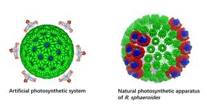 A hierarchical self-assembly photocatalytic system