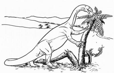 Plateosaurus Skeleton Found