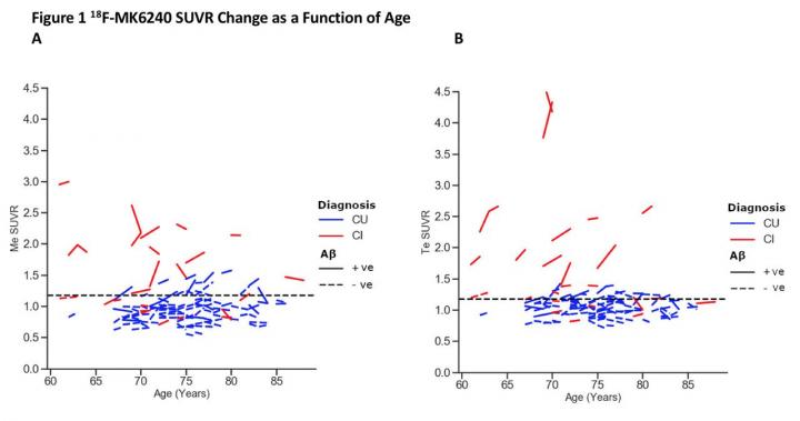 Tau accumulation over one year.