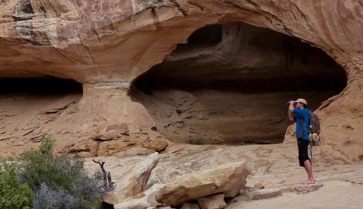 San Rafael Swell Birding