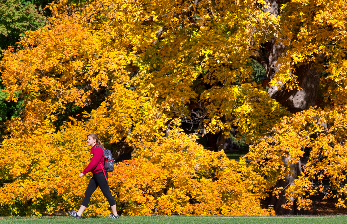 A student walks across ISU's central campus in Ames, IA, Oct. 2015.