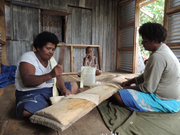 Human Migration in Oceania Recreated through Paper Mulberry Genetics