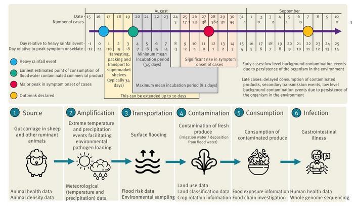 Timeline of events and cascading risk pathway and potential data sources, the United Kingdom, August–October 2022