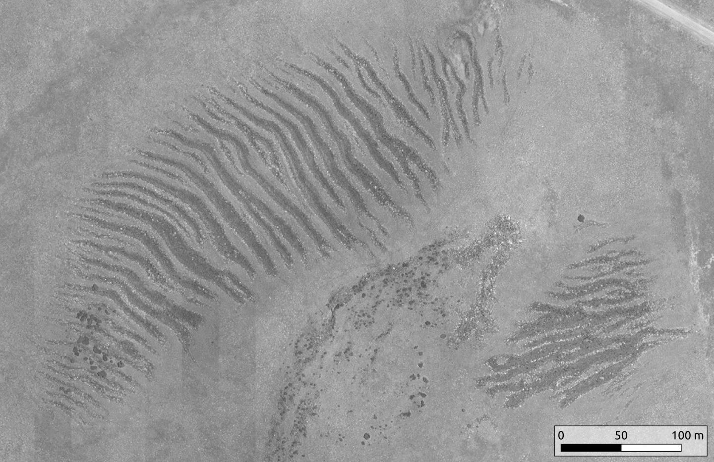 Stone Stripes Satellite image