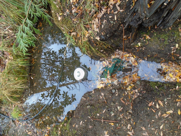 Water sampling device in a stream