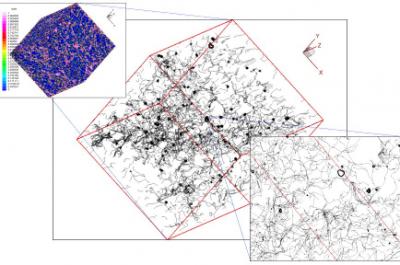 Extended Coulomb Failure Criteria for the Zipingpu Reservoir and Longmenshan Slip (1 of 2)