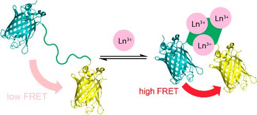 Lanthanide Sensor