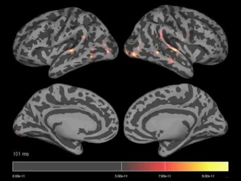 Activation Signals Move Across Brain