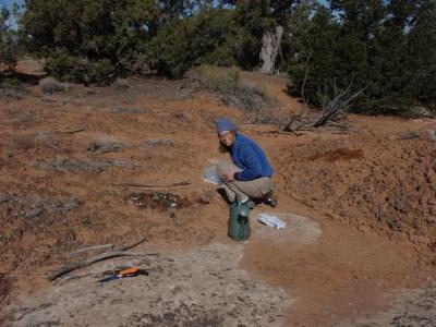 Biological Soil Crust Research